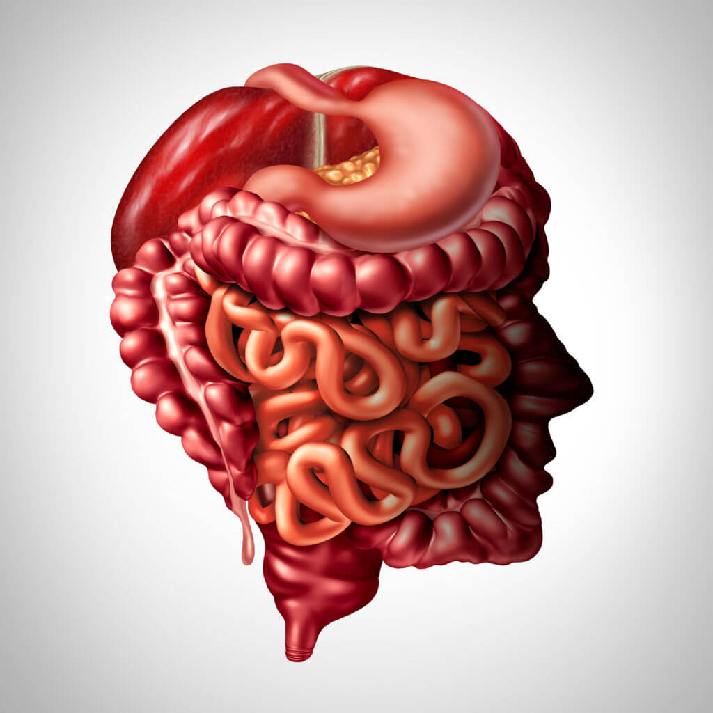 Gut - brain connection