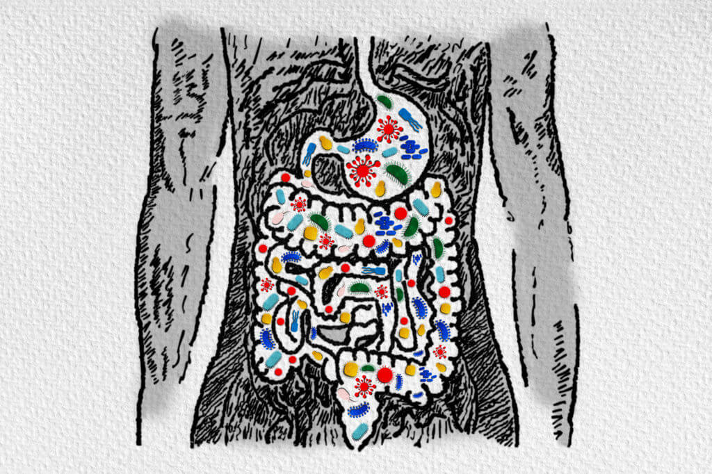 Gut health