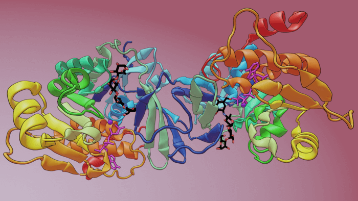 Microbes in digestive tract