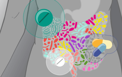Gut microbes