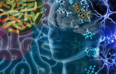 Gut bacteria / MS
