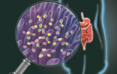 Gut function