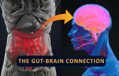 Gut Brain Connection
