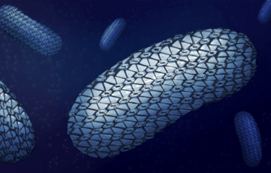 C. difficile