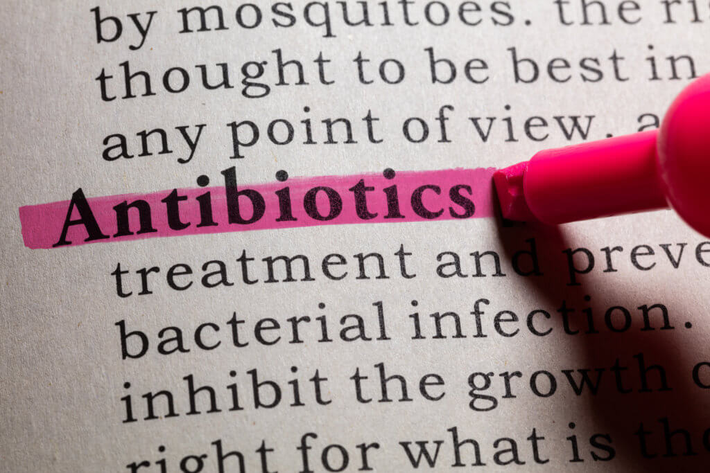 Antibiotics change gut composition of males and females differently, animal study suggests