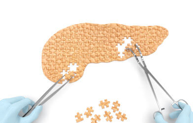 Pancreas