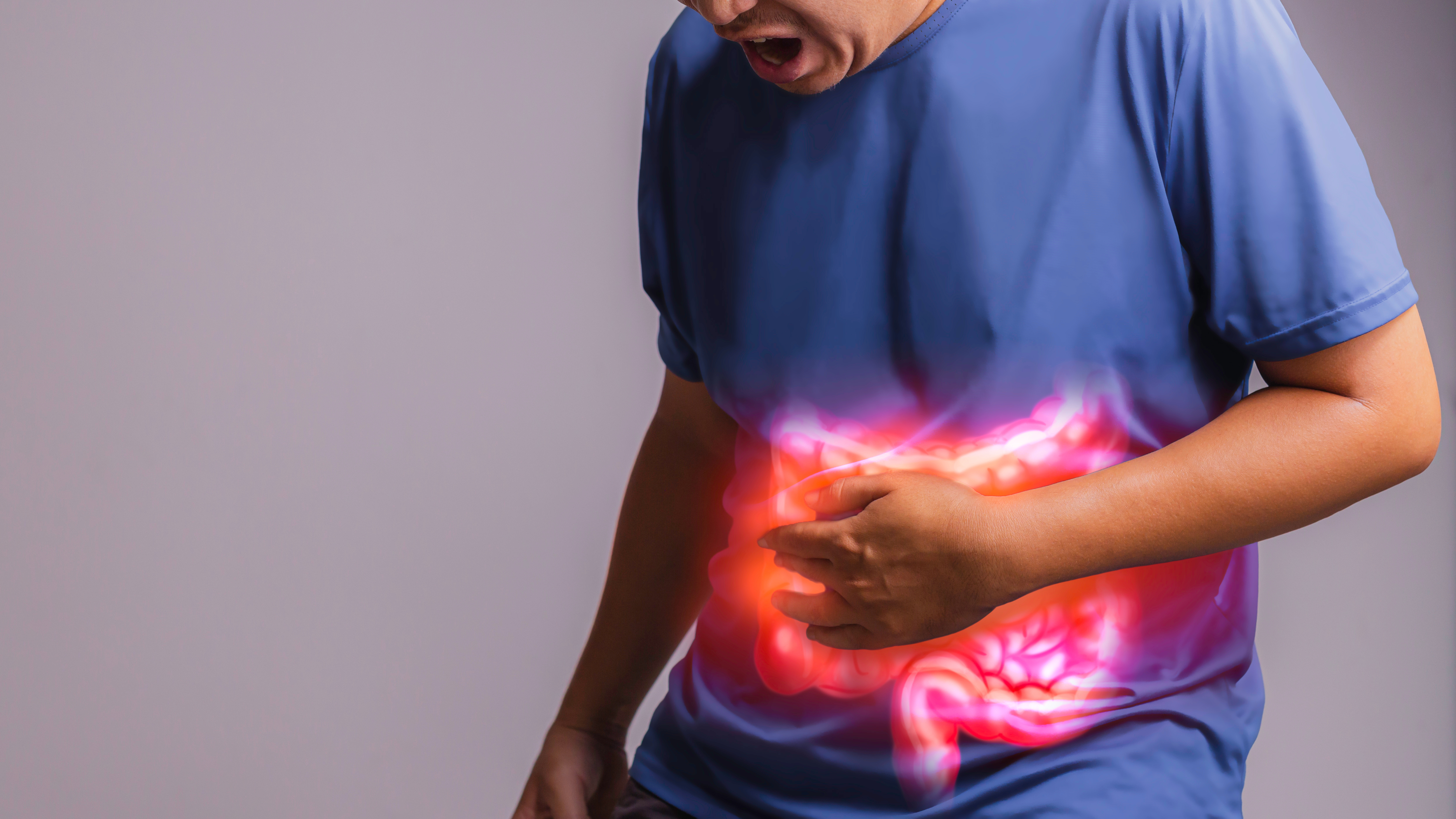 Colon, gut inflammation, pain, IBD, IBS