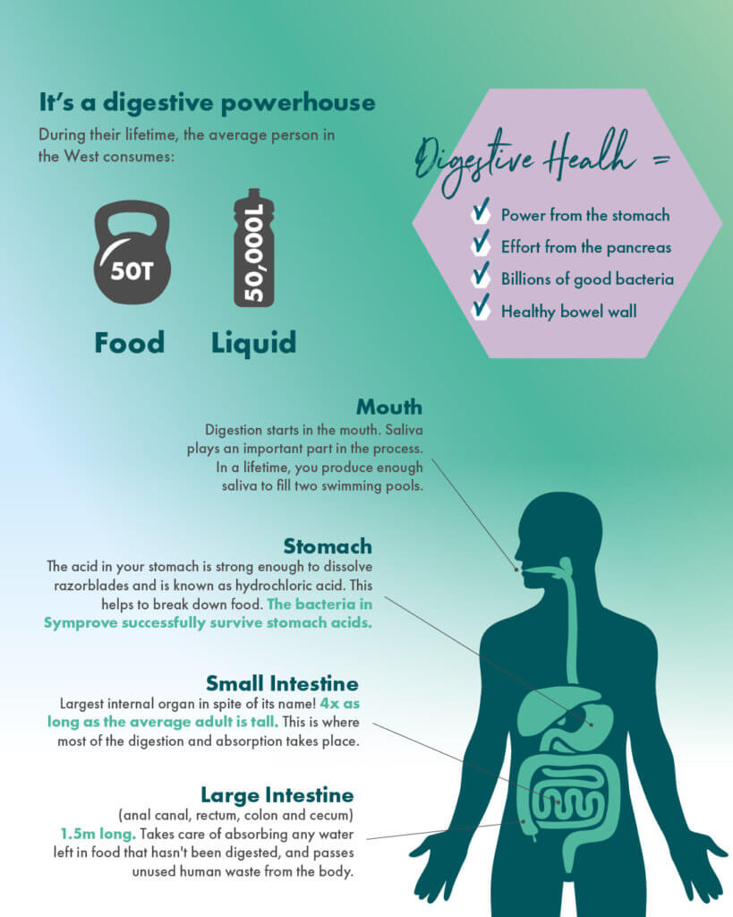 Gut Health