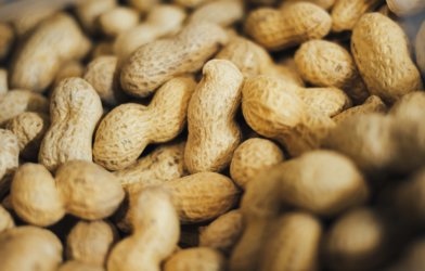 Peanuts
