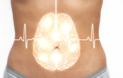 Gut brain, enteric nervous system