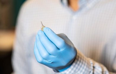 Photodynamic therapy (PDT) during surgery by using a photosensitizer