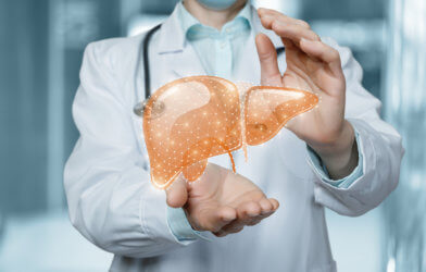 Liver