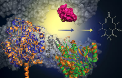 Scientists develop system for greener, stronger antibiotics