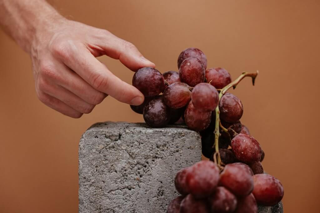 Eating grapes may counteract harmful effects from processed foods, while boosting metabolism too